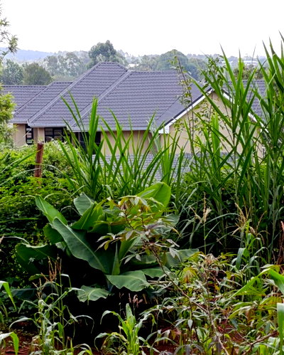Quarter Acre Garden Plot