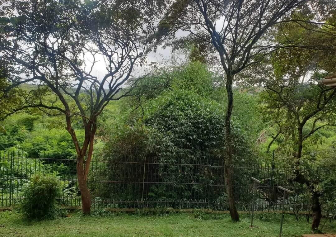 4-Bed Bungalow on Half-Acre in Gated Karen Estate – Hardy