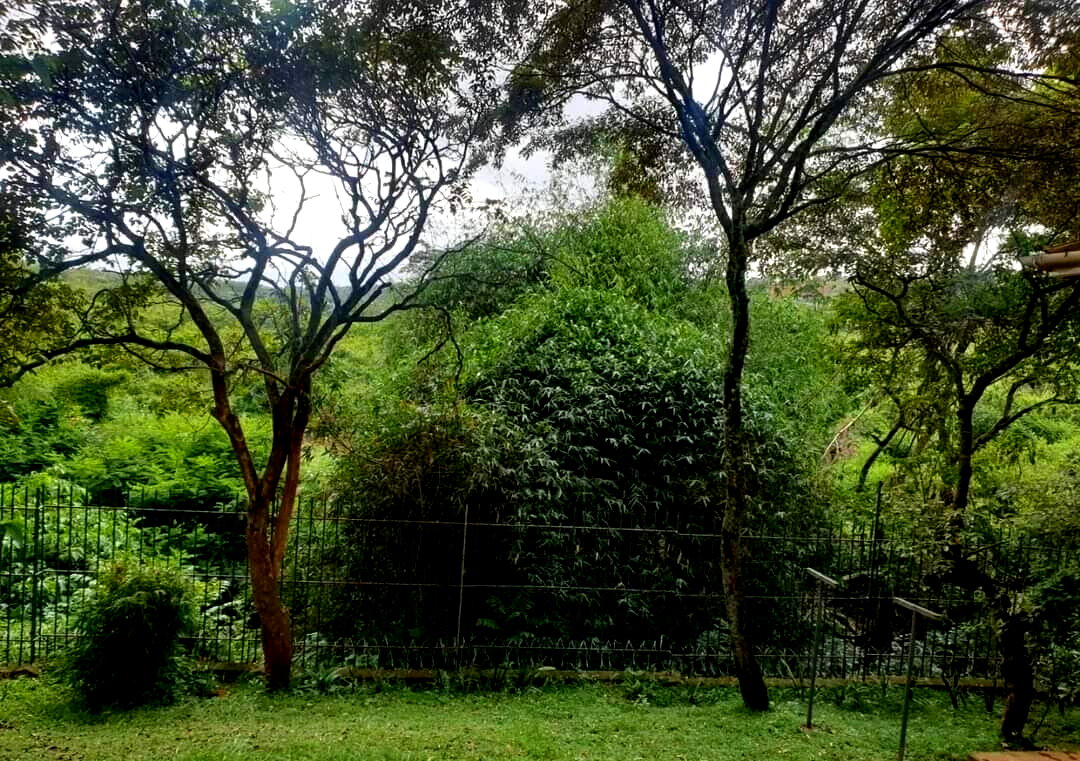 4-Bed Bungalow on Half-Acre in Gated Karen Estate – Hardy