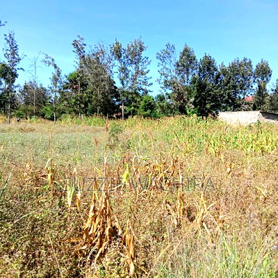 1/2acre Land for Sale at Kenol Muranga County - Image 6