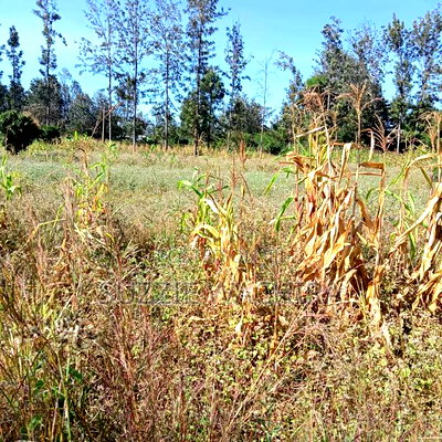 1/2acre Land for Sale at Kenol Muranga County - Image 1