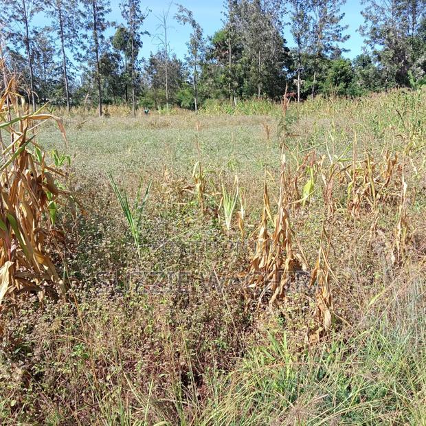 1/2acre Land for Sale at Kenol Muranga County
