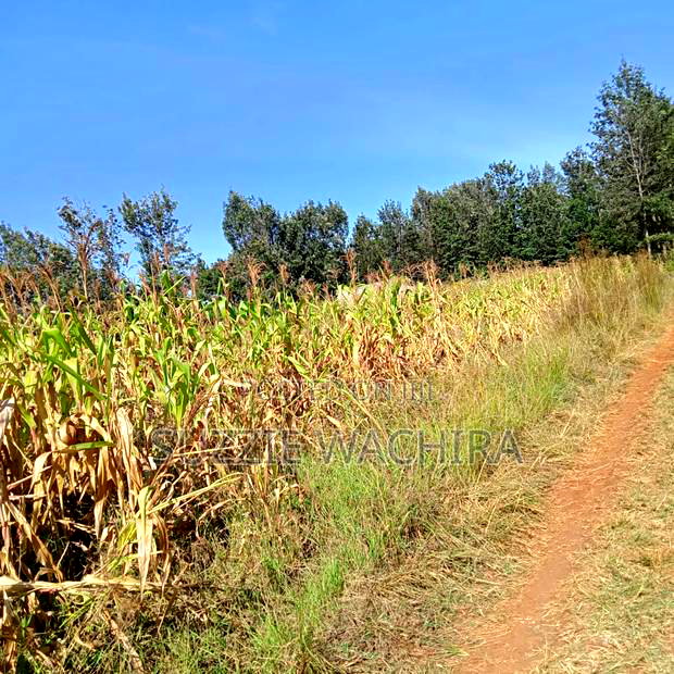 1/2acre Land for Sale at Kenol Muranga County