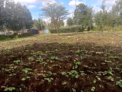Quick Distress Sale! 1/8 Acre Prime Plots in Merisho Matasia - Image 3