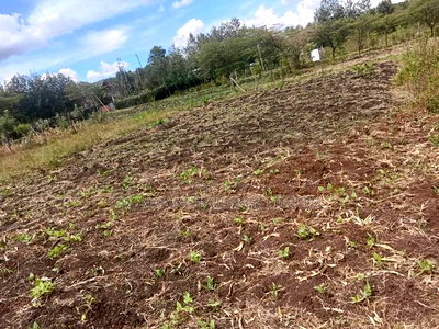 Quick Distress Sale! 1/8 Acre Prime Plots in Merisho Matasia - Image 1