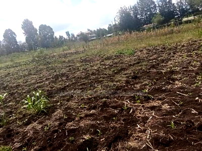 Quick Distress Sale! 1/8 Acre Prime Plots in Merisho Matasia - Image 2