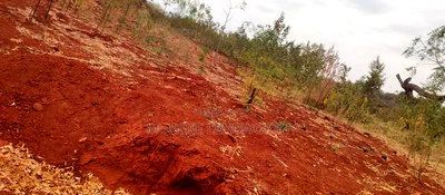 Embu County, Mariari 2 Acres Farm - Image 9