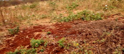 Embu County, Mariari 2 Acres Farm - Image 7