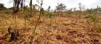 Embu County, Mariari 2 Acres Farm - Image 4