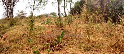 Embu County, Mariari 2 Acres Farm - Image 3