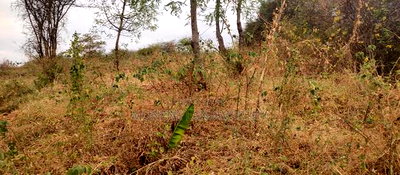 Embu County, Mariari 2 Acres Farm - Image 5