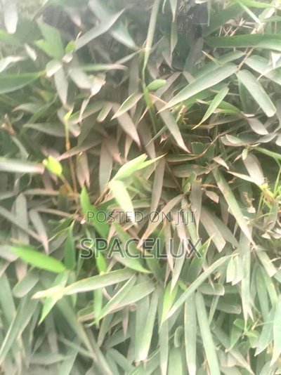 4.5 Acres Prime Land Touching Eastern by Pass Ruiru Kamakis - Image 1