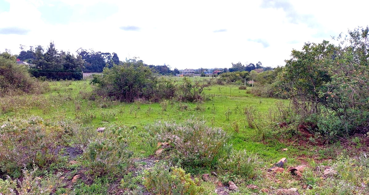 Garden Oasis on Half Acre