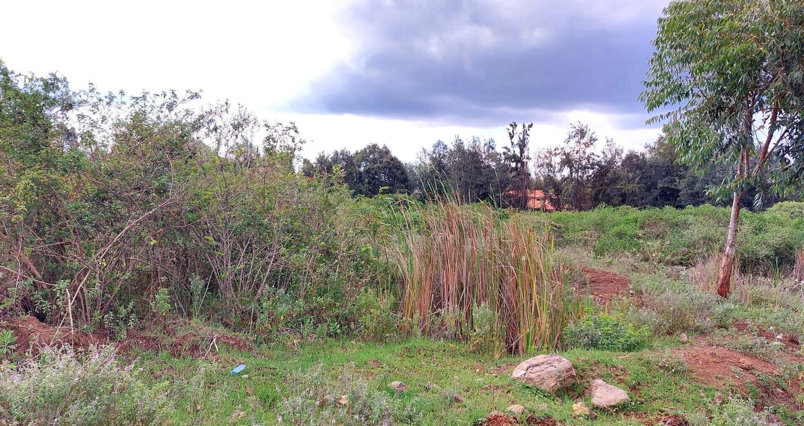 Garden Oasis on Half Acre