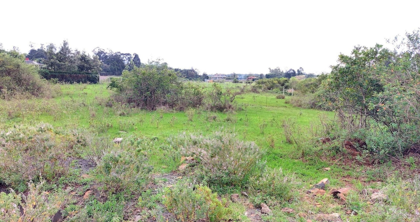 Garden Oasis on Half Acre