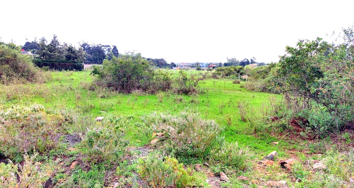 Garden Oasis on Half Acre