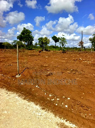 Rafiki 4 Extension 50x100ft Prime Plots for Sale! - Image 4