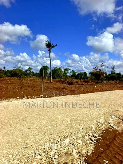 Rafiki 4 Extension 50x100ft Prime Plots for Sale! - Image 5