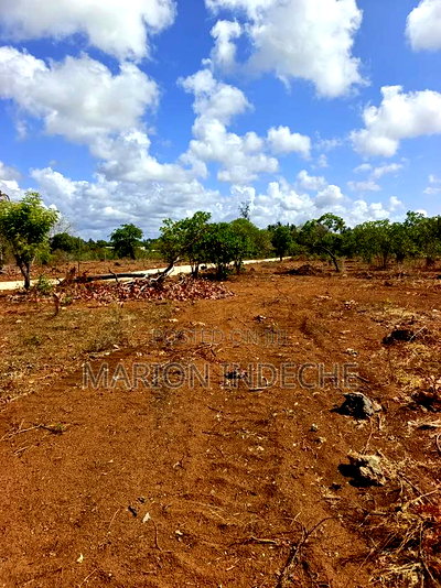 Rafiki 4 Extension 50x100ft Prime Plots for Sale! - Image 8