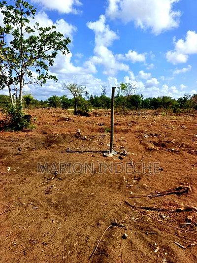 Rafiki 4 Extension 50x100ft Prime Plots for Sale! - Image 7
