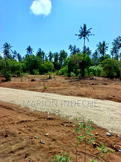 Rafiki 4 Extension 50x100ft Prime Plots for Sale! - Image 1