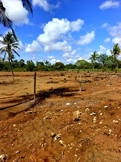 Rafiki 4 Extension 50x100ft Prime Plots for Sale! - Image 6