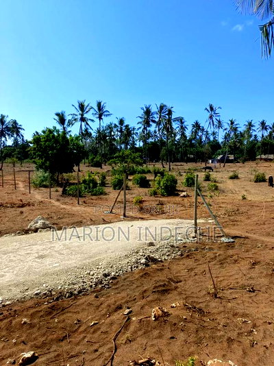 Rafiki 4 Extension 50x100ft Prime Plots for Sale! - Image 3