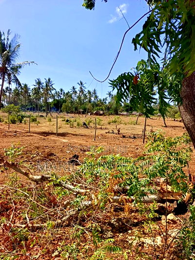 Rafiki 4 Extension 50x100ft Prime Plots for Sale! - Image 2