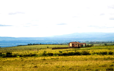 50x100 Plot with Garden for KSh 429K