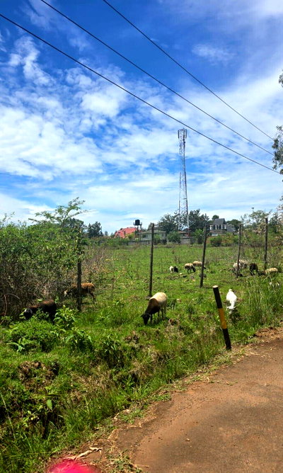 Garden Plot with Parking at KSh 42M