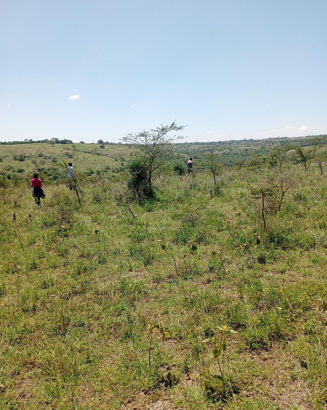 KSh 800K Plot in Kiserian