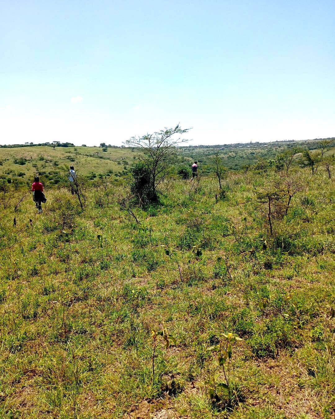 KSh 800K Plot in Kiserian