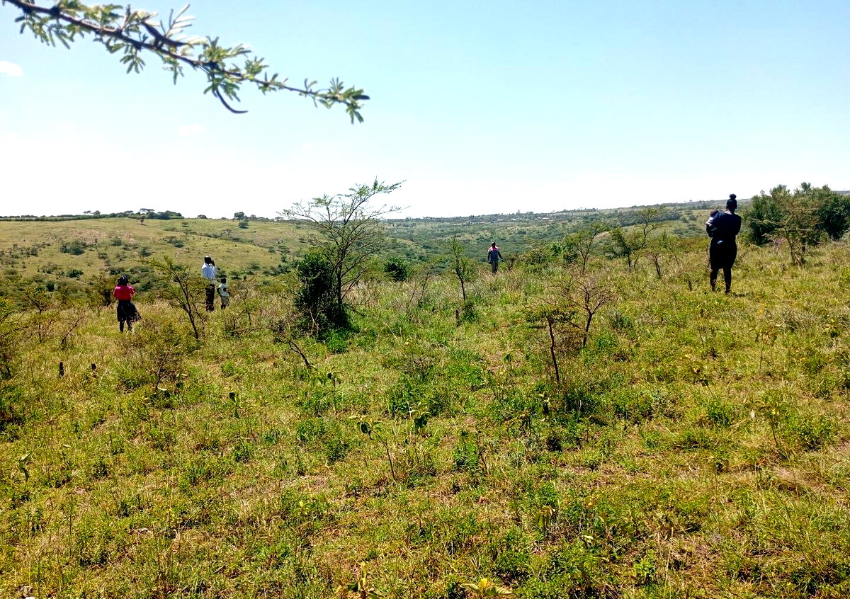 KSh 800K Plot in Kiserian