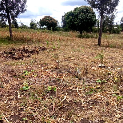 Residential Plots for Sale at Kenol Kimorori at 1.5M - Image 1