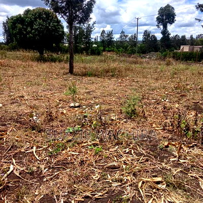 Residential Plots for Sale at Kenol Kimorori at 1.5M - Image 2