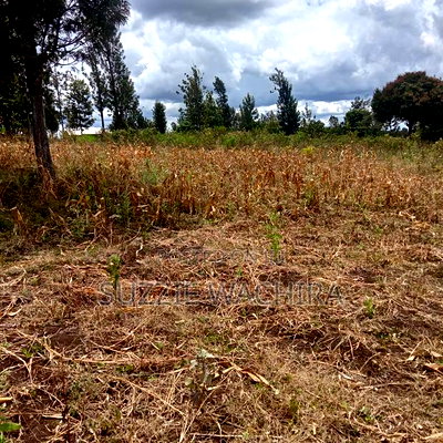 Residential Plots for Sale at Kenol Kimorori at 1.5M - Image 5