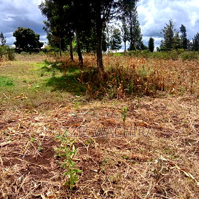 Residential Plots for Sale at Kenol Kimorori at 1.5M - Image 3