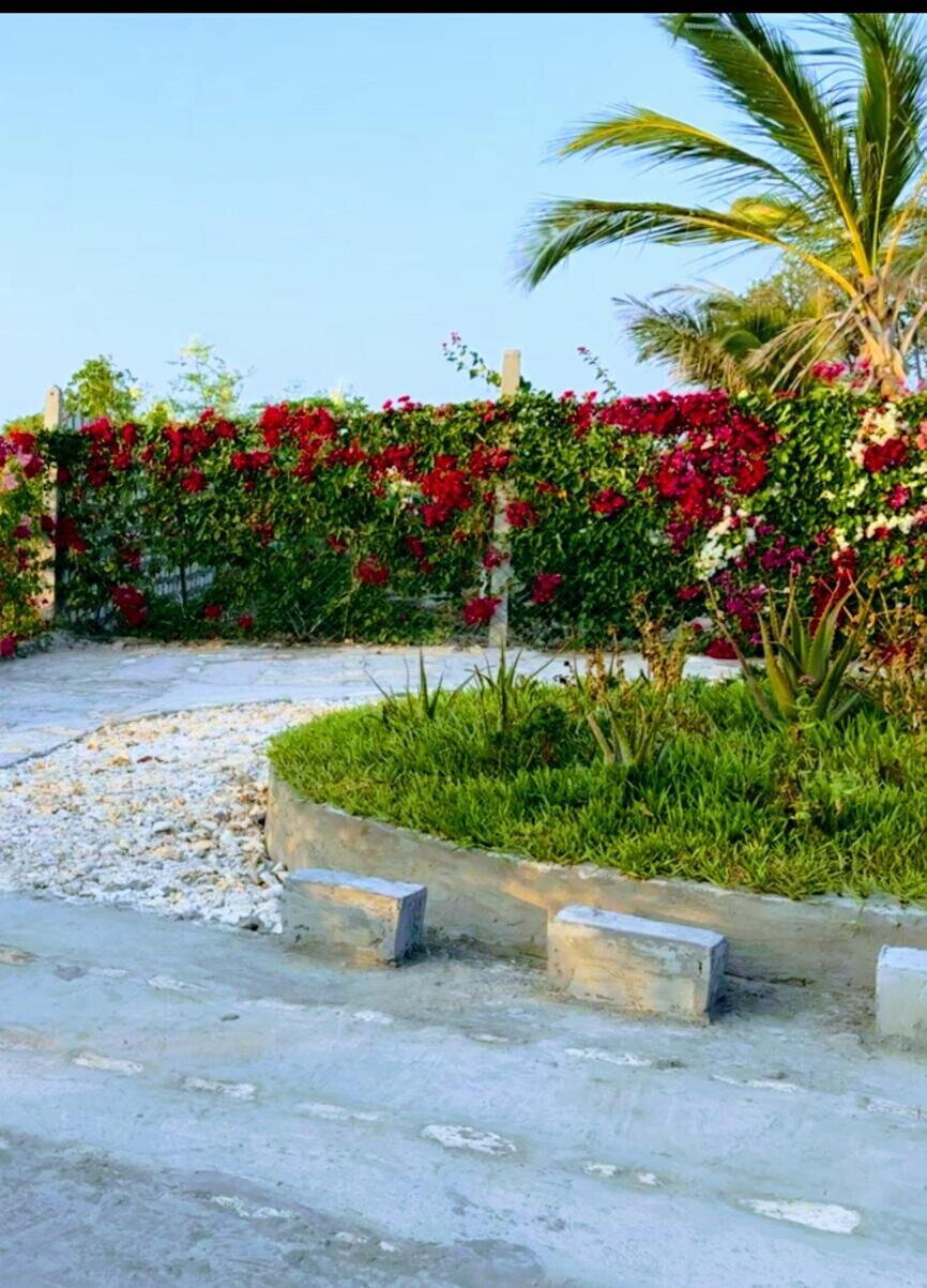 Ocean-View 4BR Garden Home