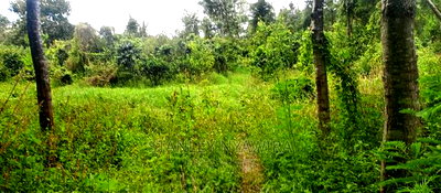 9 Acreas Touching River Nanyuki Burguret - Image 1