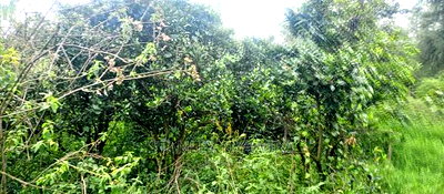 9 Acreas Touching River Nanyuki Burguret - Image 10