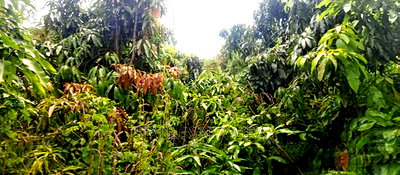 9 Acreas Touching River Nanyuki Burguret - Image 7