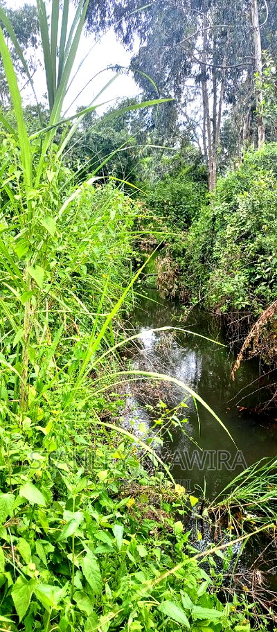 9 Acreas Touching River Nanyuki Burguret - Image 9