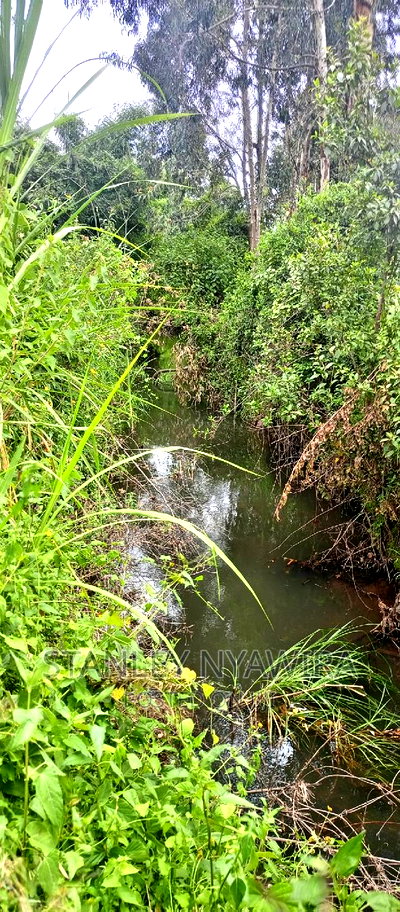9 Acreas Touching River Nanyuki Burguret - Image 2
