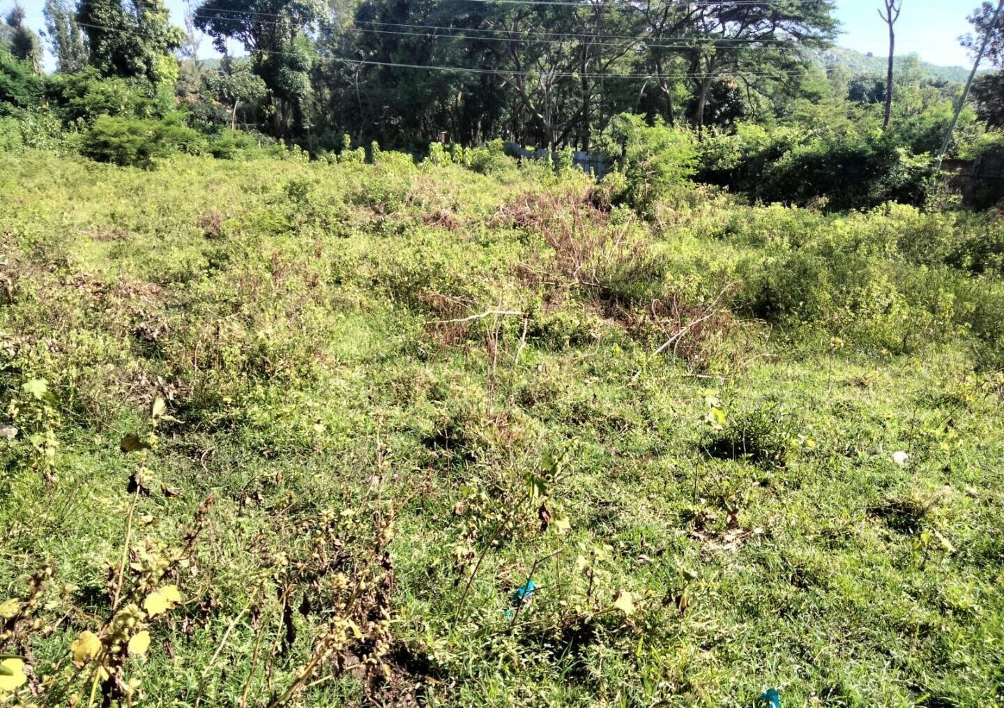 1/2 Acre Commercial Plot in Kisumu West
