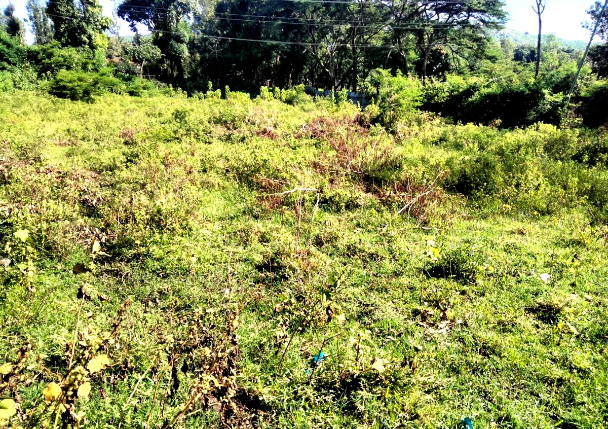 1/2 Acre Commercial Plot in Kisumu West