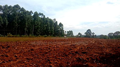 6 Acres for Sale in Kakamega County - Image 2