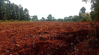 6 Acres for Sale in Kakamega County - Image 4