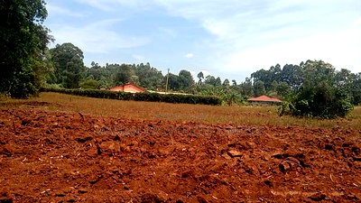 6 Acres for Sale in Kakamega County - Image 1