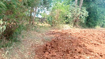 6 Acres for Sale in Kakamega County - Image 5
