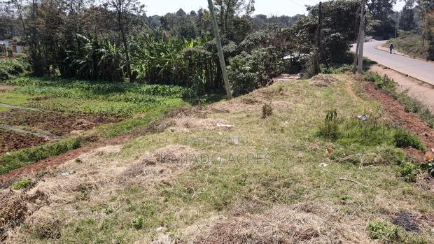 1/4 Acre Rhino Park Road at 40m